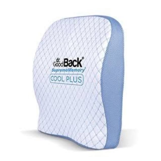 Back support system